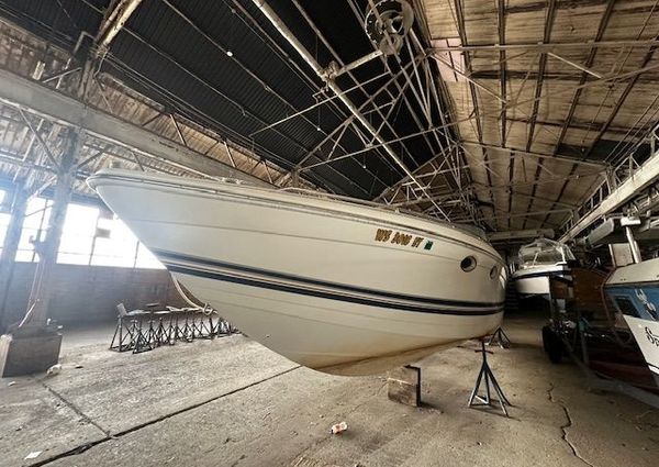 Formula 330-SUN-SPORT image