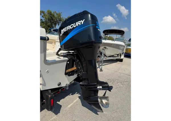 Sea-fox 236-CENTER-CONSOLE image