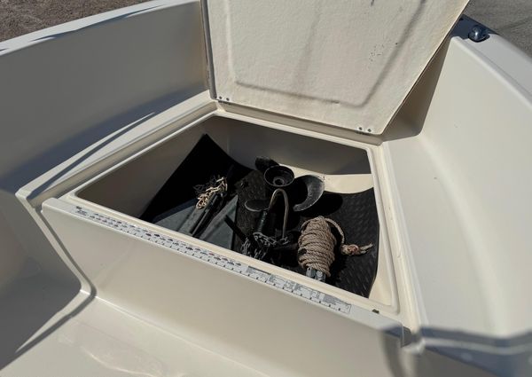 Sea-fox 236-CENTER-CONSOLE image