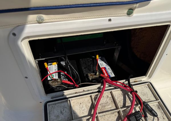 Sea-fox 236-CENTER-CONSOLE image