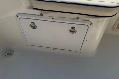 Sea-fox 236-CENTER-CONSOLE image