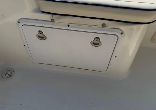 Sea-fox 236-CENTER-CONSOLE image
