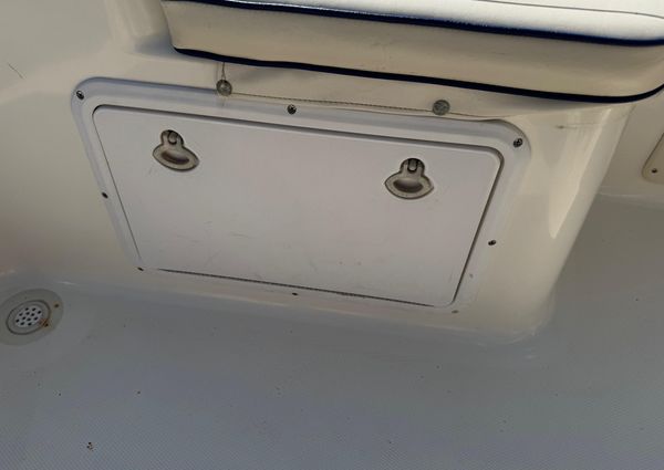 Sea-fox 236-CENTER-CONSOLE image