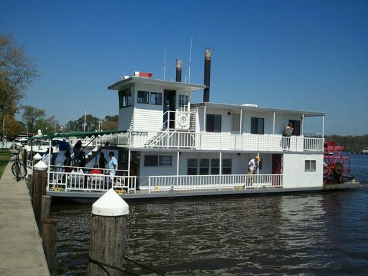 Custom Paddle Wheeler - main image