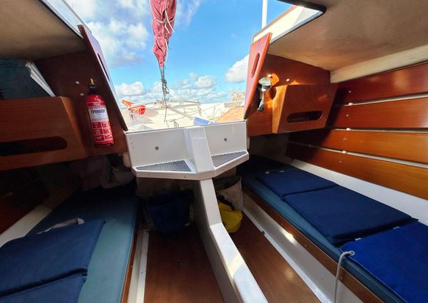 Cornish-crabbers SHRIMPER-19 image