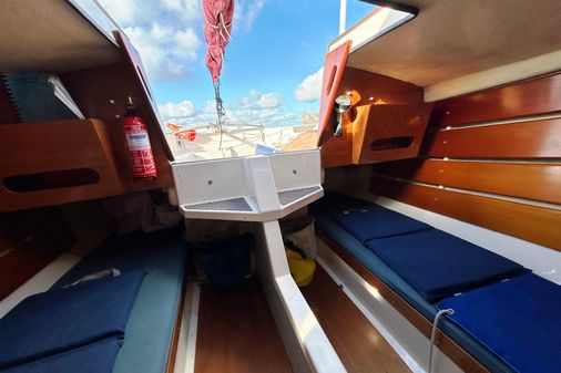 Cornish-crabbers SHRIMPER-19 image