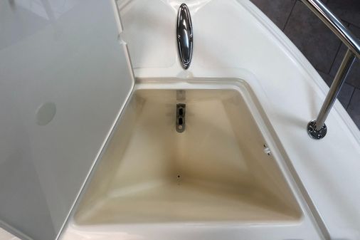 Scout 175 Sport Dorado image