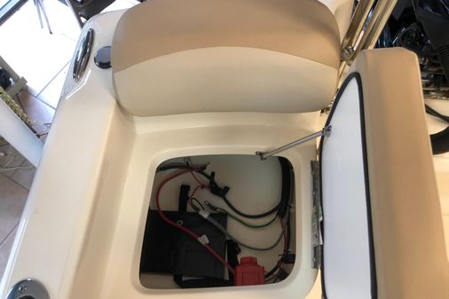 Scout 175 Sport Dorado image