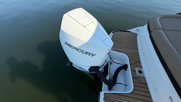 Sea Ray SLX 260 Outboard image
