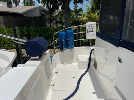 Endeavour Trawler Cat 38 image