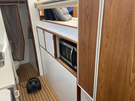 Endeavour Trawler Cat 38 image