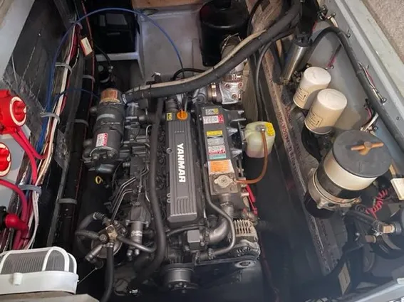 Endeavour Trawler Cat 38 image