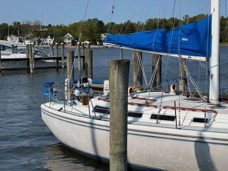 Catalina C-36-SLOOP image