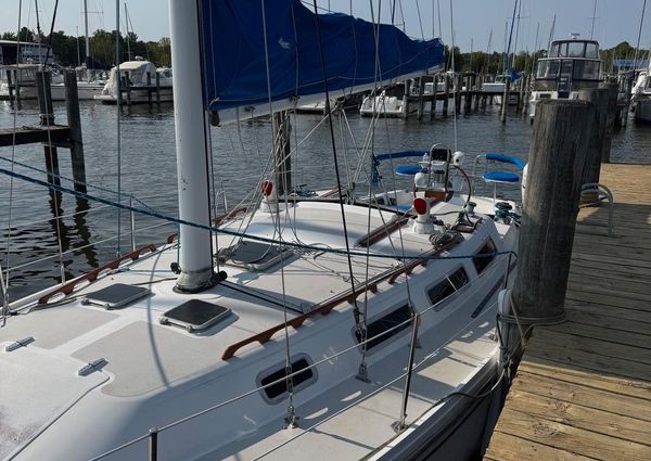 Catalina C-36-SLOOP image