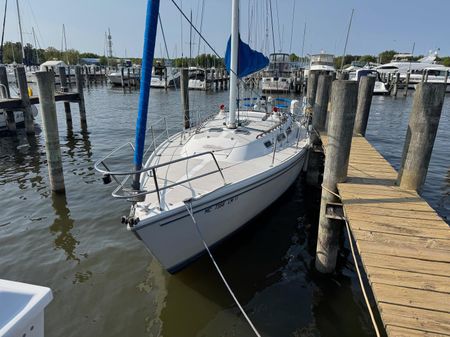 Catalina C-36-SLOOP image