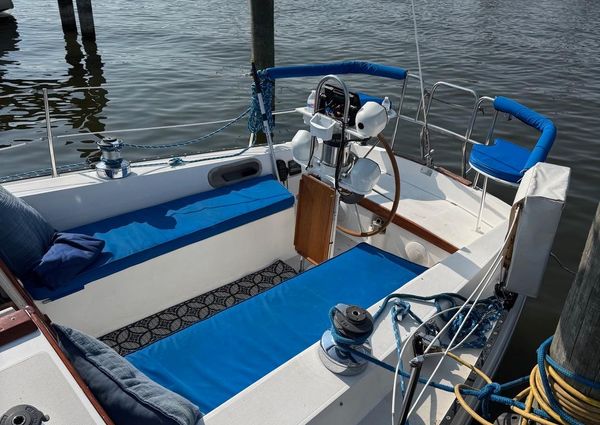 Catalina C-36-SLOOP image