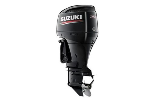 Suzuki DF250 image