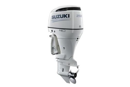 Suzuki DF250 image