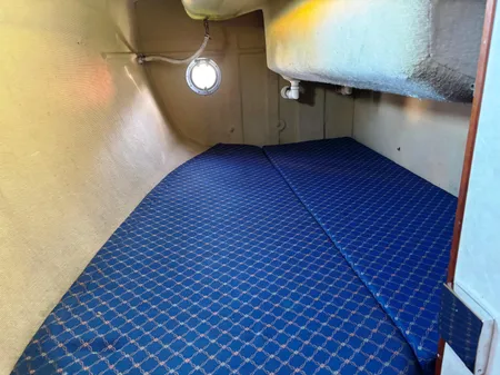 British-hunter RANGER-265 image