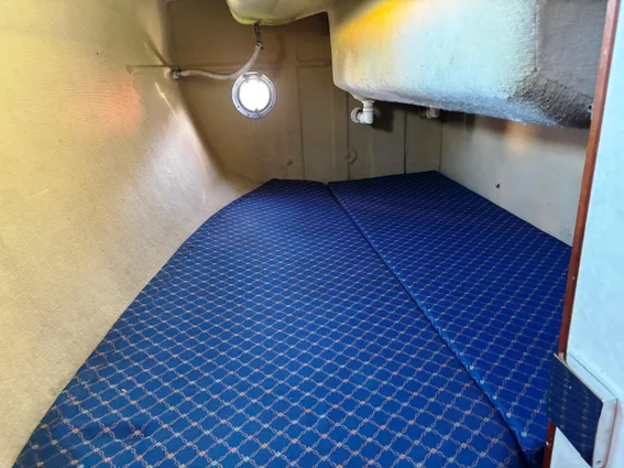 British-hunter RANGER-265 image