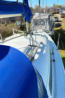 British-hunter RANGER-265 image