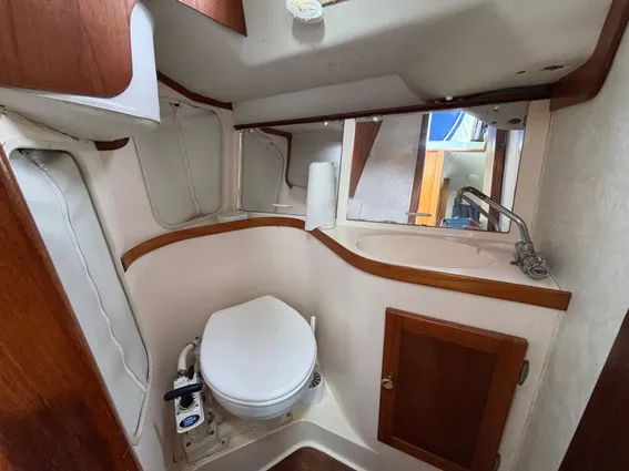 British-hunter RANGER-265 image