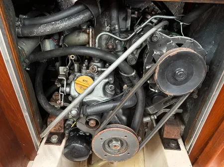 British-hunter RANGER-265 image