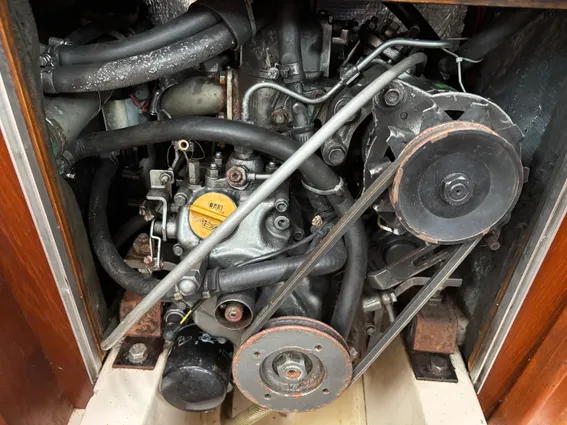 British-hunter RANGER-265 image