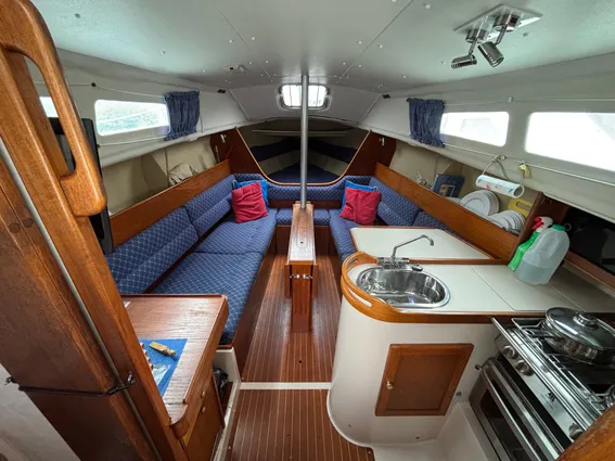 British-hunter RANGER-265 image