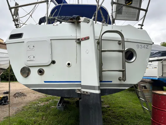 British-hunter RANGER-265 image