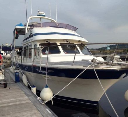 Trader 41+2 - main image