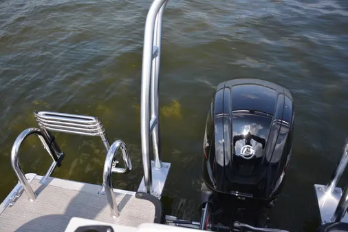 Sylvan MIRAGE-FISH-8522-PARTY-FISH image