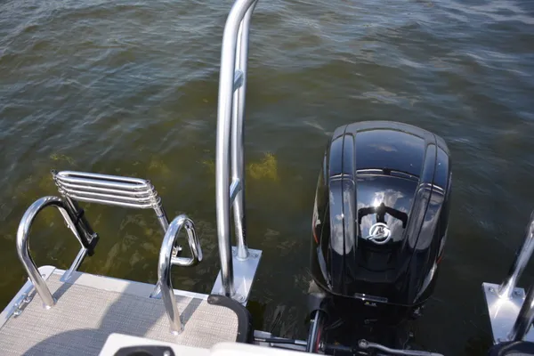 Sylvan MIRAGE-FISH-8522-PARTY-FISH image