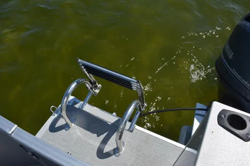 Sylvan MIRAGE-FISH-8522-PARTY-FISH image