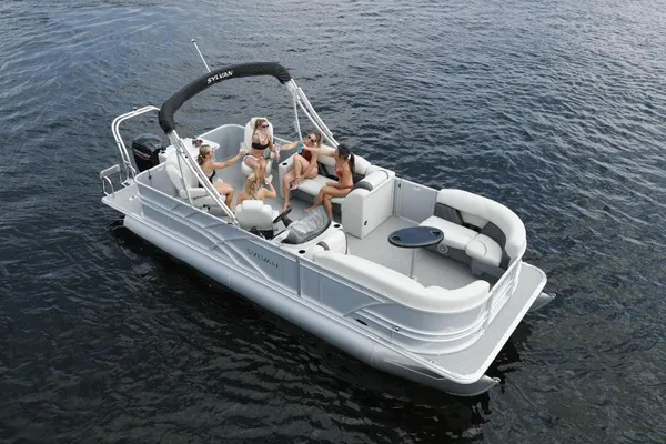 Sylvan MIRAGE-FISH-8522-PARTY-FISH image