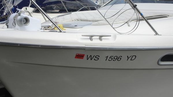 Bayliner 3988MY image
