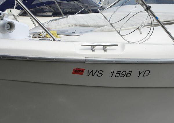 Bayliner 3988MY image