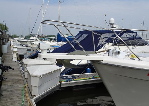 Bayliner 3988MY image