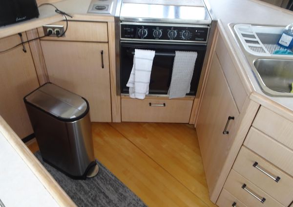 Bayliner 3988MY image