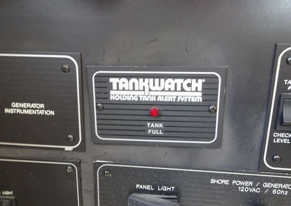 Bayliner 3988MY image