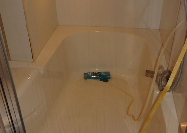 Bayliner 3988MY image