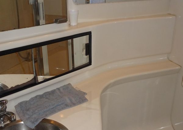 Bayliner 3988MY image