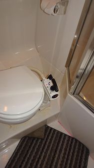 Bayliner 3988MY image