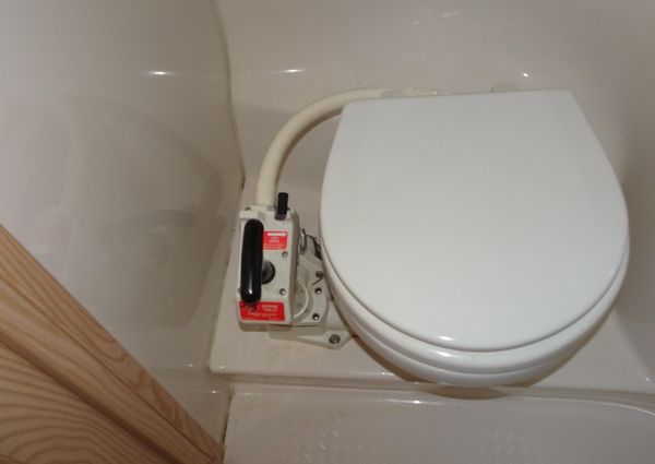 Bayliner 3988MY image