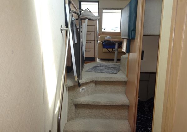 Bayliner 3988MY image