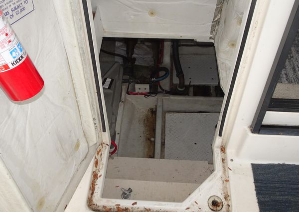 Bayliner 3988MY image