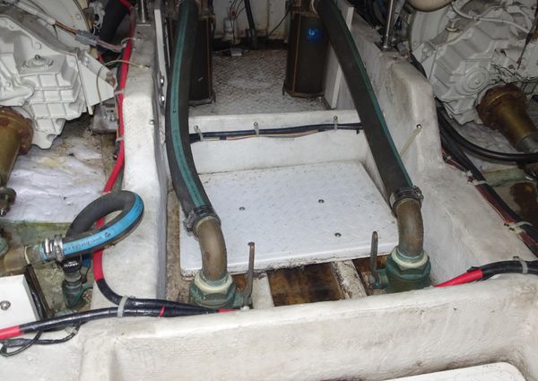 Bayliner 3988MY image