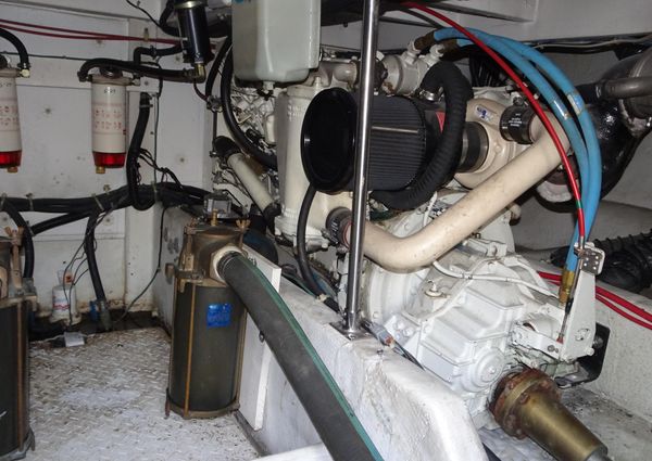 Bayliner 3988MY image