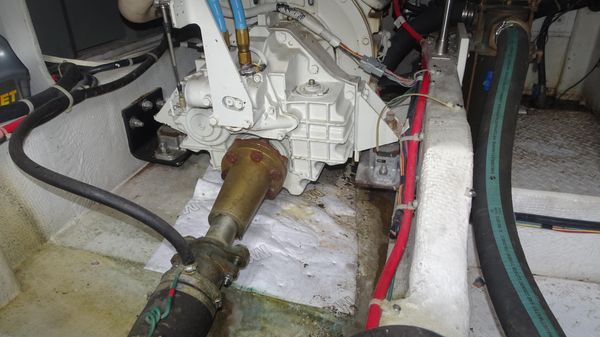 Bayliner 3988MY image