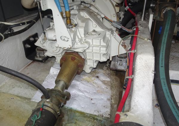 Bayliner 3988MY image